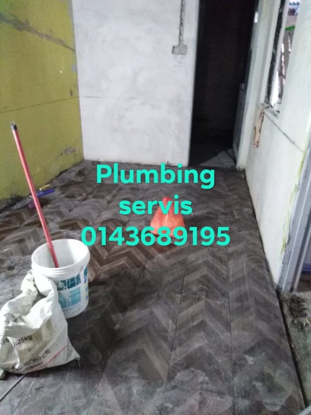 USER_SCOPED_TEMP_DATA_orca-image-1981805526.jpeg_1556555569420