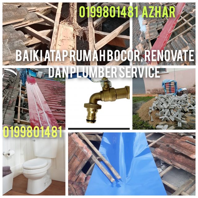 GridArt_20241218_205956395