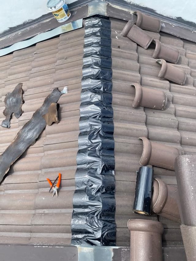 FB_IMG_1735159529771