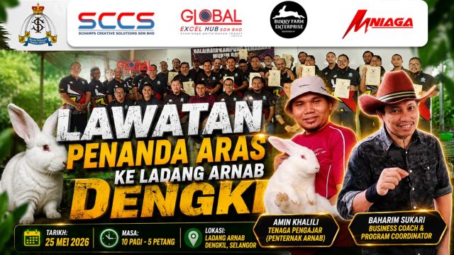 featured image M Niaga LAWATAN PENANDA ARAS PENTERNAKAN ARNAB PEDAGING