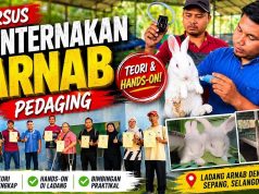 Kursus Penternakan Arnab Pedaging Siri Ke-9 Tarik Minat Peserta Dari Seluruh Malaysia