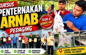 Kursus Penternakan Arnab Pedaging Siri Ke-9 Tarik Minat Peserta Dari Seluruh Malaysia