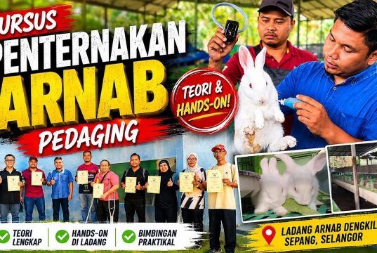 Kursus Penternakan Arnab Pedaging Siri Ke-9 Tarik Minat Peserta Dari Seluruh Malaysia