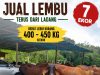JUALAN LEMBU PEDAGING – TERUS DARI LADANG, Ada stok 7 ekor lembu pedaging untuk dijual!