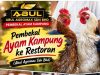 Pembekal Ayam Kampung Segar Untuk Restoran | Abul Agromax Sdn Bhd