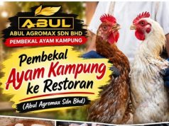 Pembekal Ayam Kampung Segar Untuk Restoran | Abul Agromax Sdn Bhd
