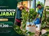 NAK PEJABAT NAMPAK SEGAR DAN PROFESIONAL TANPA PENING JAGA POKOK? | Sewaan Pokok Hidup Pejabat di Lembah Klang
